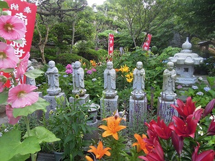 02ajisai9.jpg 02ajisai9.jpg
