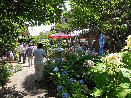 29a00.jpg 29a00.jpg
